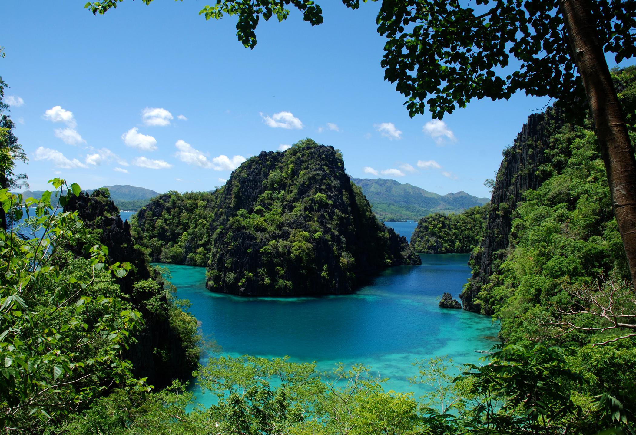 The Funny Lion - Coron Hotel Bagian luar foto